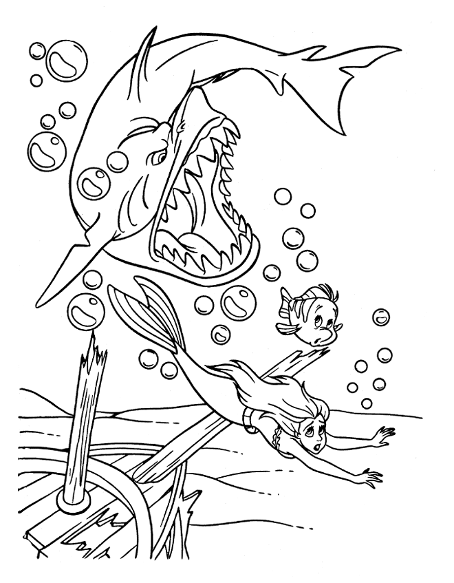 Coloring Page 805